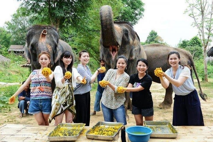 Kanchanaburi Private Day Tour: Ethical Elephant Encounters & River Kwai History photo 2