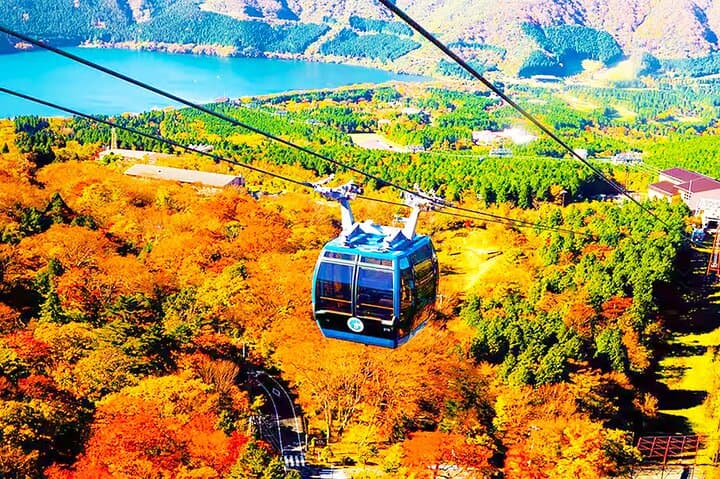Mt Fuji Cruise and Hakone Ropeway Day Trip from Tokyo: Lake Ashi, Owakudani & Floating Torii photo 4