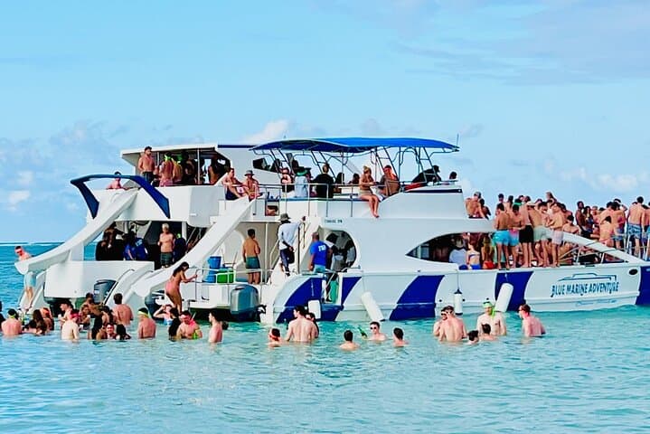 Punta Cana Booze Cruise & Snorkel: Sandbar Natural Pool, Dolphins & Open Bar photo 2