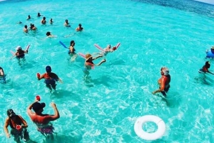 Punta Cana Booze Cruise & Snorkel: Sandbar Natural Pool, Dolphins & Open Bar photo 4