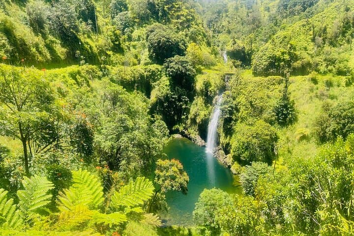 Small-Group Road to Hana Tour: Hidden Gems, Waterfalls & Red Sand Beach photo 1