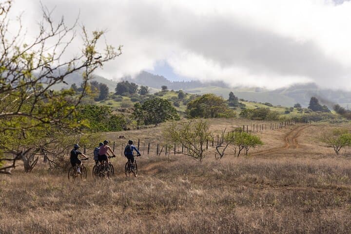 E-Mountain Bike Tour Maui — Private Ranch Ride in Wailea photo 2