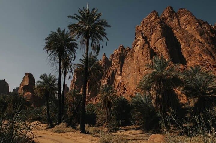 Wonders of Wadi Dissah: Full-Day Wadi Qaraqir Nature Escape from AlUla photo 4