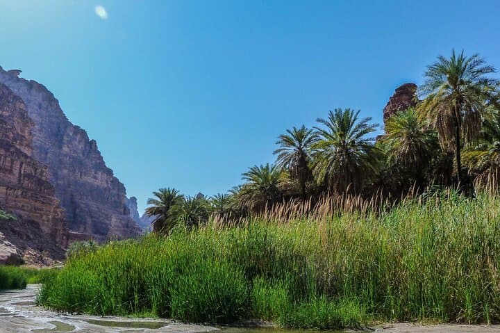 Wonders of Wadi Dissah: Full-Day Wadi Qaraqir Nature Escape from AlUla photo 6