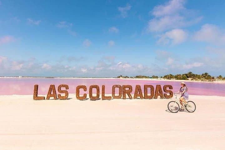 Pink Lagoons and Crocodiles: Guided Tour to Las Coloradas & Río Lagartos photo 3