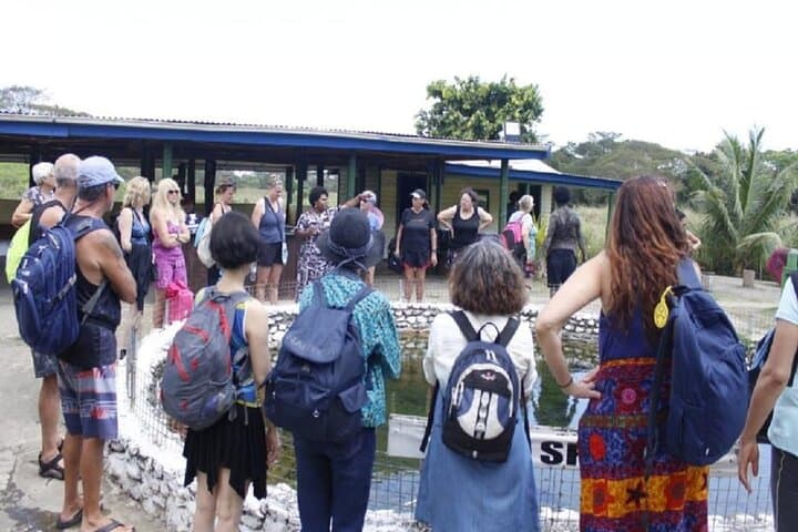 Sabeto Hot Springs & Mud Pools: Fiji Thermal Valley Day Tour Guide