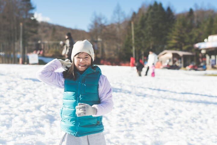 Mt Fuji Views and Fujiten Snow Resort Day Tour from Tokyo photo 3