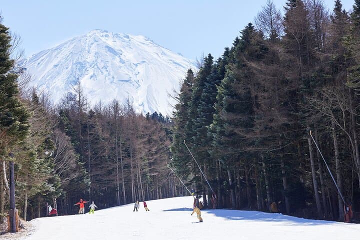 Mt Fuji Views and Fujiten Snow Resort Day Tour from Tokyo photo 1