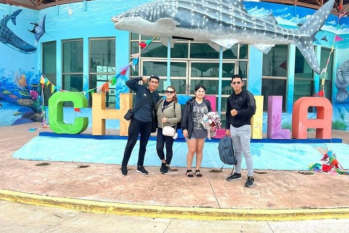 Holbox Island Day Trip from Cancun: Boat Ride, Biking & Cenote Swim photo 2