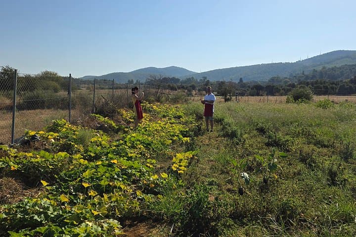 Etrim Village Turkish Cooking Class & Organic Farm Day Trip from Bodrum photo 2