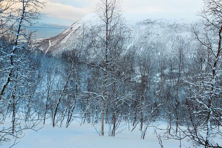 Fjellheisen Snowshoe: Guided Tromsdalen Two-Hour Arctic Trek
