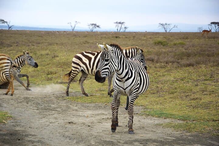 Hells Gate National Park: Full-Day Hiking, Biking, Climbing & Camping Adventure near Naivasha