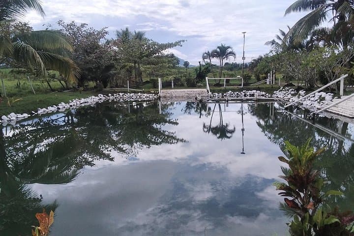 Relax and Rejuvenate at Fiji's Tifajek Mud Pools and Hot Springs photo 3