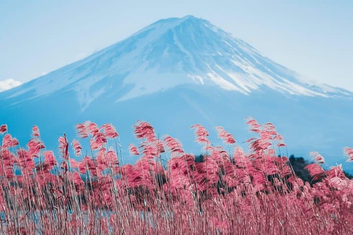 Mount Fuji Day Trip: Chureito Pagoda, Oshino Hakkai & Gotemba Outlets
