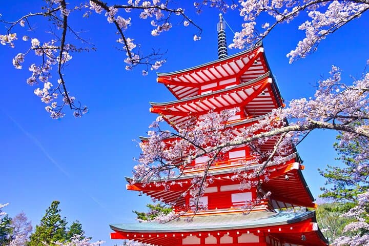 Mount Fuji Day Trip: Chureito Pagoda, Oshino Hakkai & Gotemba Outlets photo 4