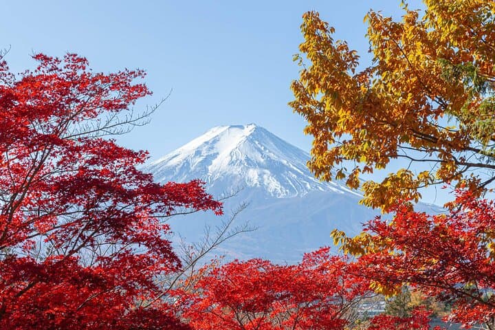 Mount Fuji Day Trip: Chureito Pagoda, Oshino Hakkai & Gotemba Outlets photo 5