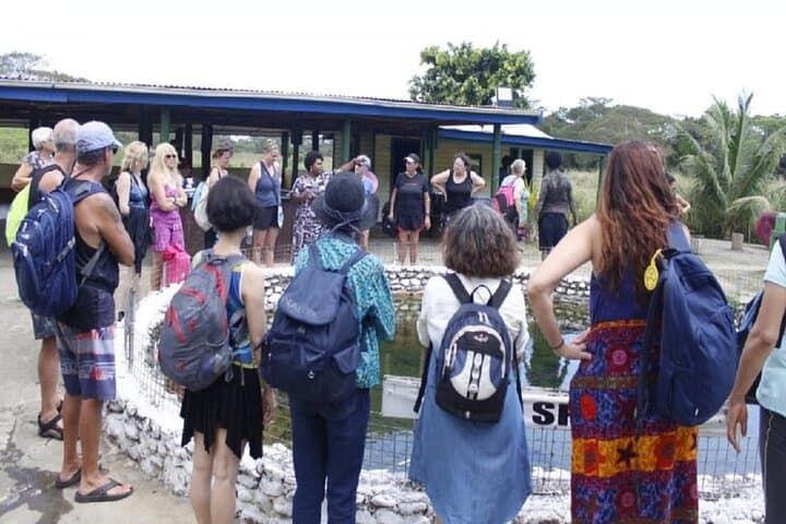Garden of the Sleeping Giant & Sabeto Hot Springs Mud Pool Tour — Nadi Fiji photo 6