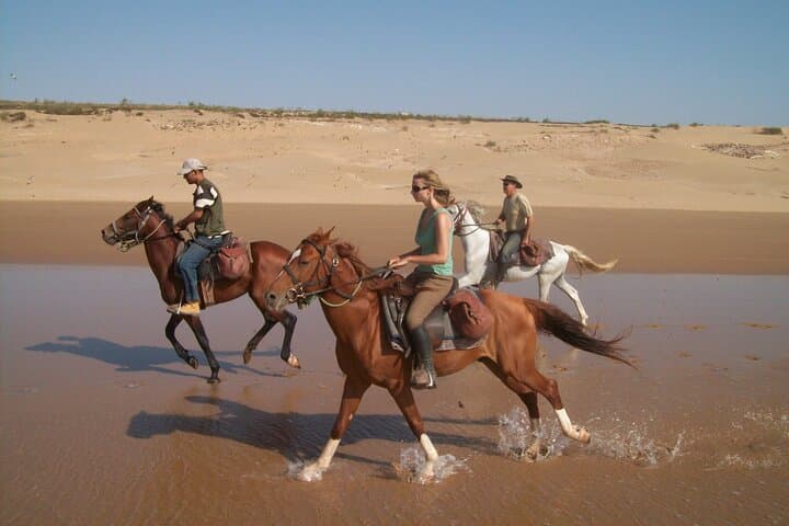 Sharm El-Sheikh Beach Horseback Ride: 1-Hour Sea & Desert Escape
