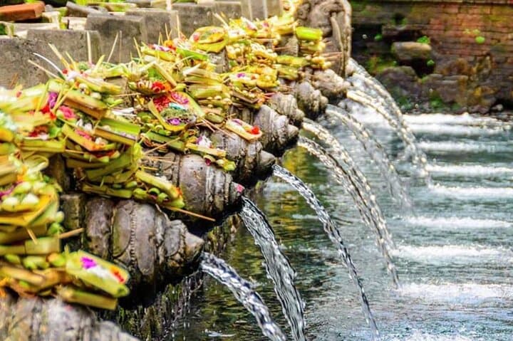 Ubud Rice Terraces, Tirta Empul & Hidden Waterfalls: Private Day Tour photo 2