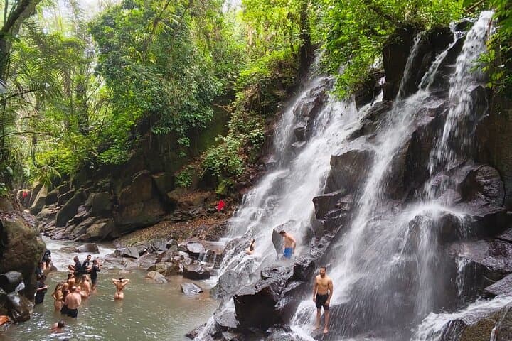Ubud Rice Terraces, Tirta Empul & Hidden Waterfalls: Private Day Tour photo 3