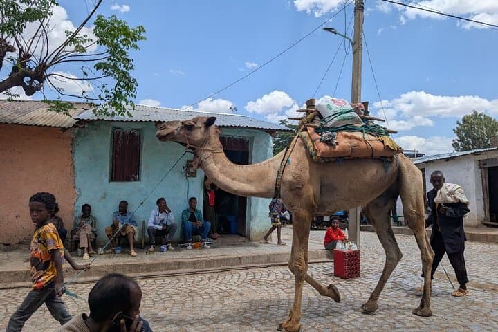 9-Day Danakil Depression & South Omo Valley Cultural Expedition photo 6