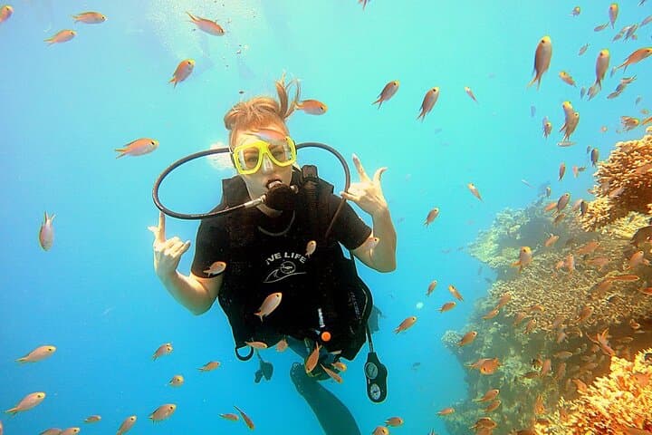 Ras Mohammed & White Island: Full-Day Red Sea Snorkel with Intro Dive from Sharm El Sheikh photo 2