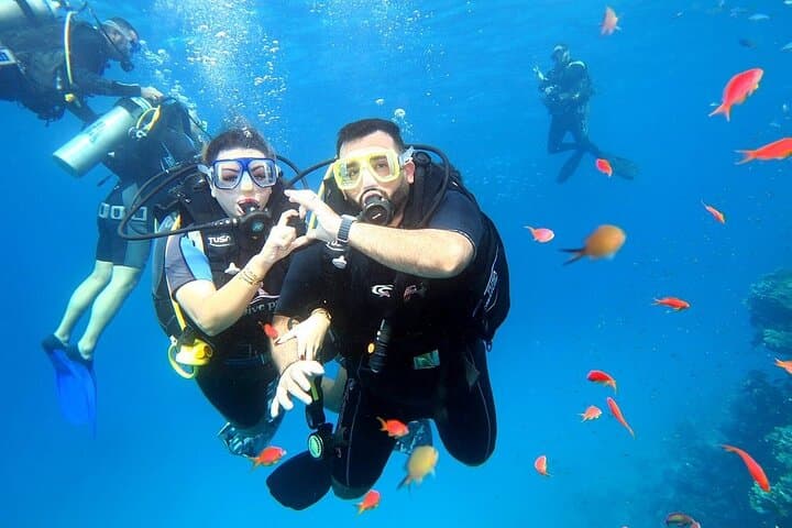 Ras Mohammed & White Island: Full-Day Red Sea Snorkel with Intro Dive from Sharm El Sheikh photo 4