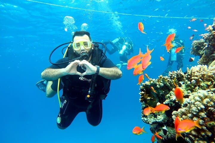Ras Mohammed & White Island: Full-Day Red Sea Snorkel with Intro Dive from Sharm El Sheikh photo 6