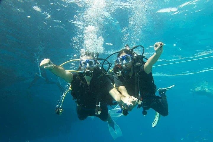 Ras Mohammed & White Island: Full-Day Red Sea Boat Trip from Sharm El Sheikh photo 4