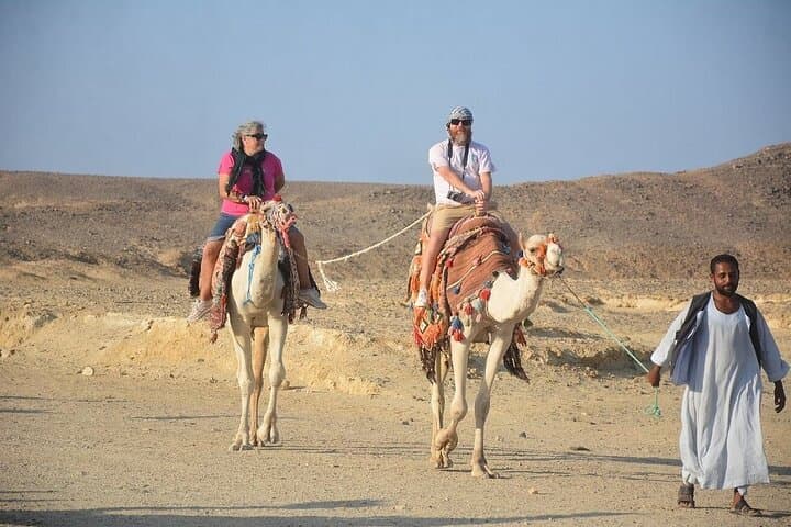 One-Hour Camel Ride in Hurghada Desert with Hotel Transfer photo 4