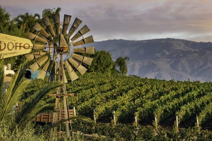 Private Temecula Wine Country Tour from San Diego — 3-Winery Tasting & Behind-the-Scenes photo 4