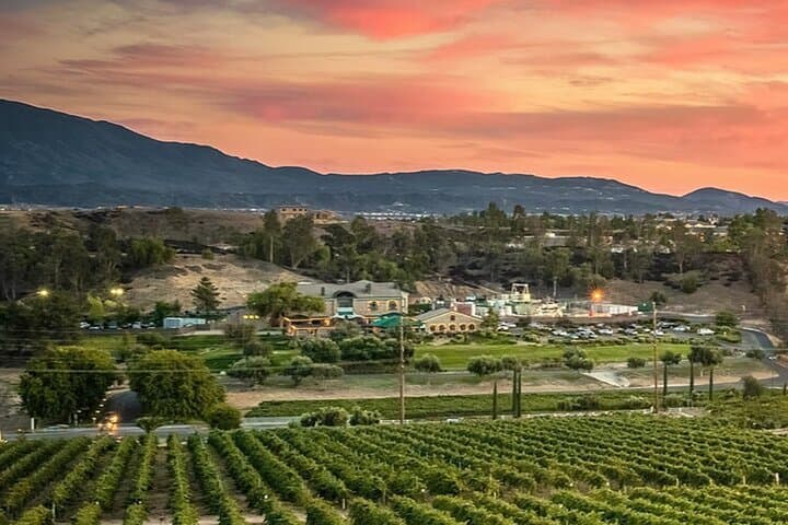 Private Temecula Wine Country Tour from San Diego — 3-Winery Tasting & Behind-the-Scenes photo 5