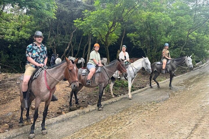 Miravalles Expedition: Horseback Riding, Waterfalls & Volcanic Hot Springs photo 2