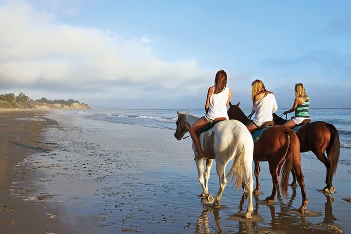 Two-Hour Horseback Ride on Hurghada Beach and Desert — Ride Into the Red Sea photo 2