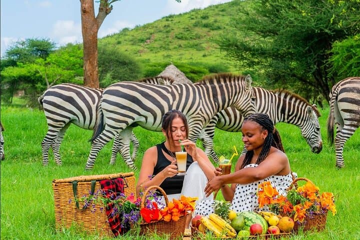2-Day Safari: Serval Wildlife Sanctuary & Tarangire National Park Adventure photo 1