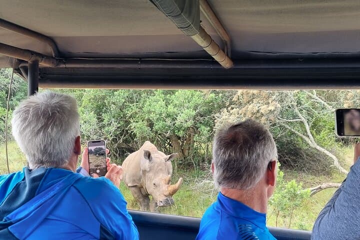 Schotia Tooth & Claw Safari: Open 4x4 Game Drive from Port Elizabeth photo 3