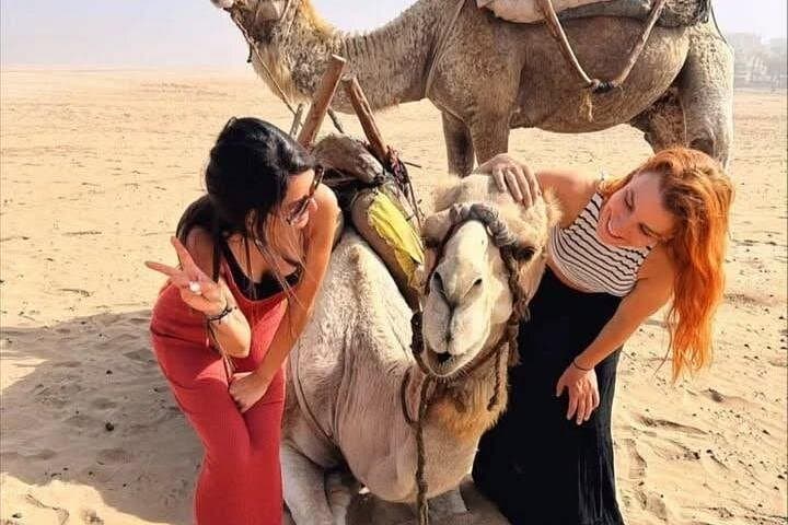 Essaouira Quad and Sunset Camel Ride: Dune, Forest & Beach Adventure photo 4