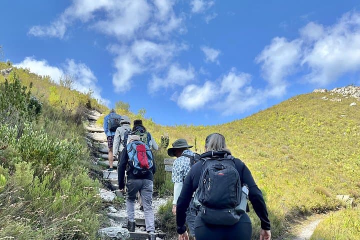 Hermanus Guided Nature Walks in Fernkloof: Fynbos, Views & Coastal History