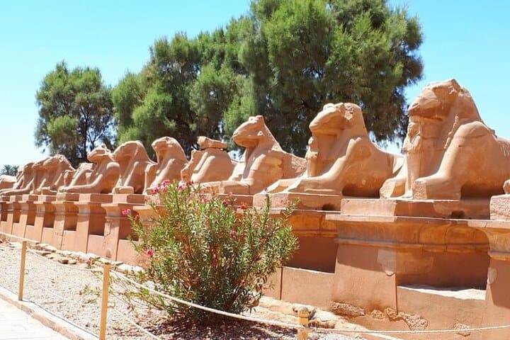 luxor-2-day-private-tour-5-star-stay-egyptologist-guide photo 5