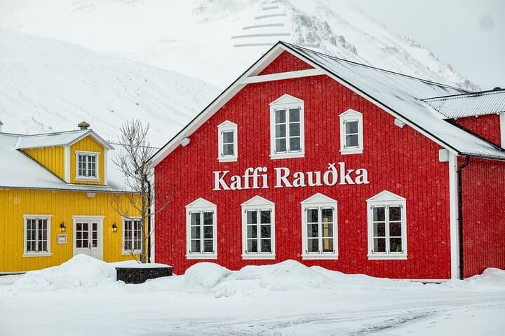 Exploring Iceland’s Arctic Coastline and Siglufjörður: A Scenic Northern Fjord Adventure photo 5