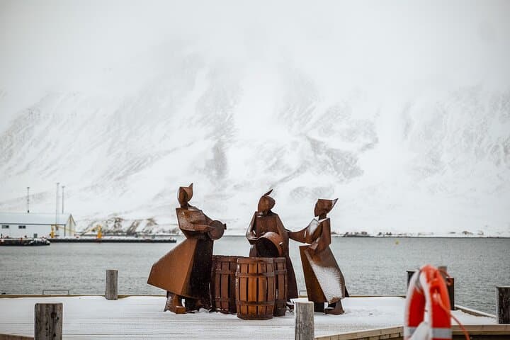 Exploring Iceland’s Arctic Coastline and Siglufjörður: A Scenic Northern Fjord Adventure photo 6