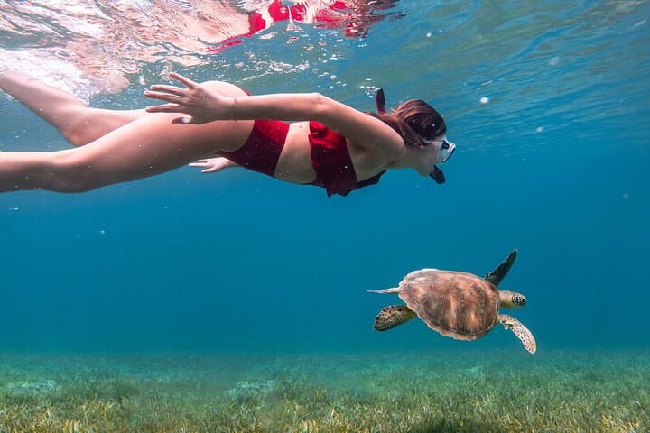 San Juan Private Snorkeling Tour with GoPro Video photo 2