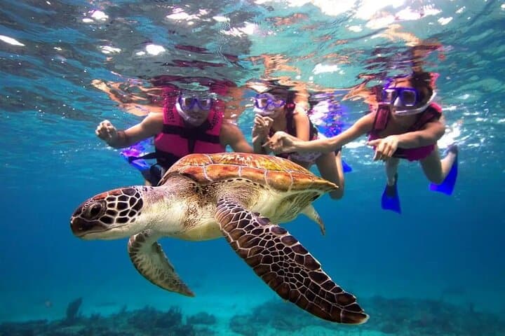 San Juan Private Snorkeling Tour with GoPro Video