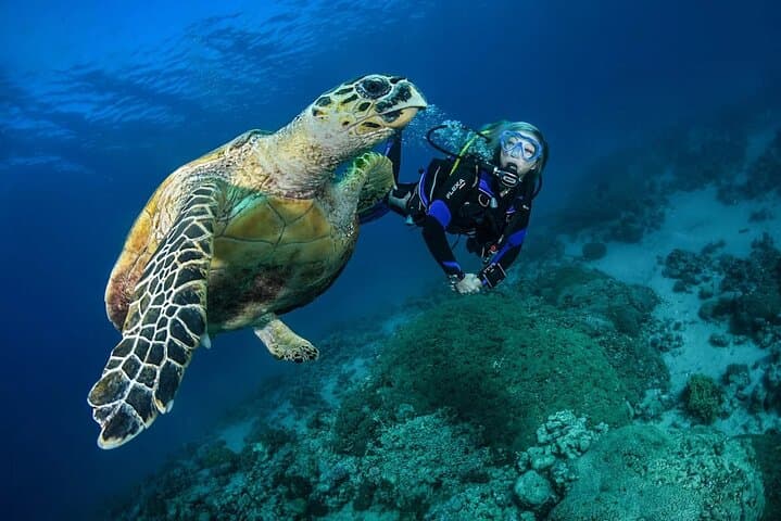 San Juan Private Snorkeling Tour with GoPro Video photo 3