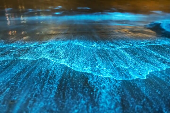 BioBay Sunset Splash: Kayak the Bioluminescent Laguna Grande in Fajardo