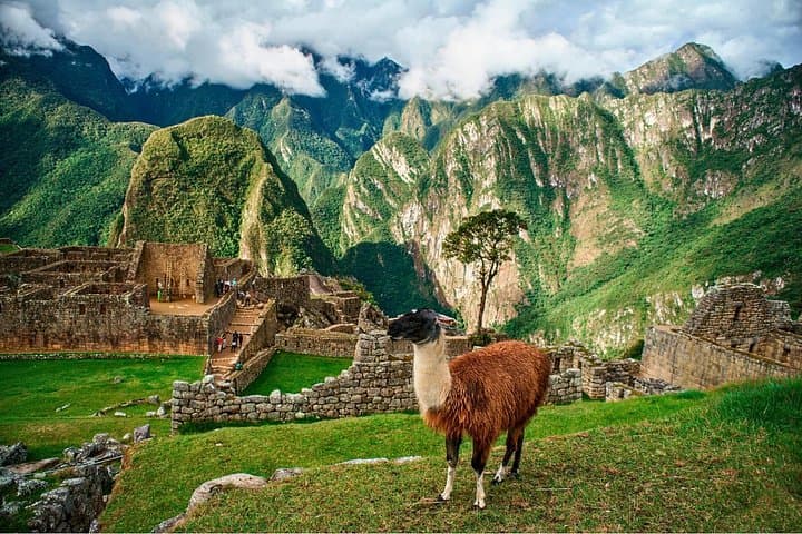 Private Machu Picchu Guided Tour — Aguas Calientes to the Citadel photo 3