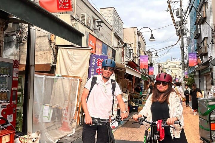 Tokyo Tailored Gardens E-Bike Tour with Pro Gardener photo 5