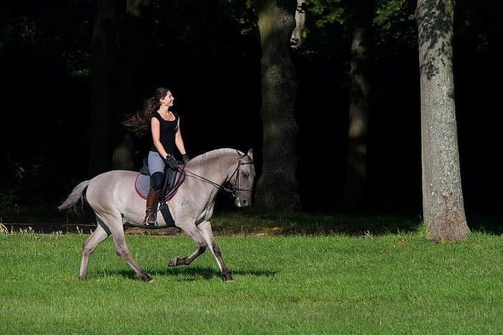 Private Horseback Ride at Versailles: Guided Palace Tour and Royal Gardens Ride photo 2