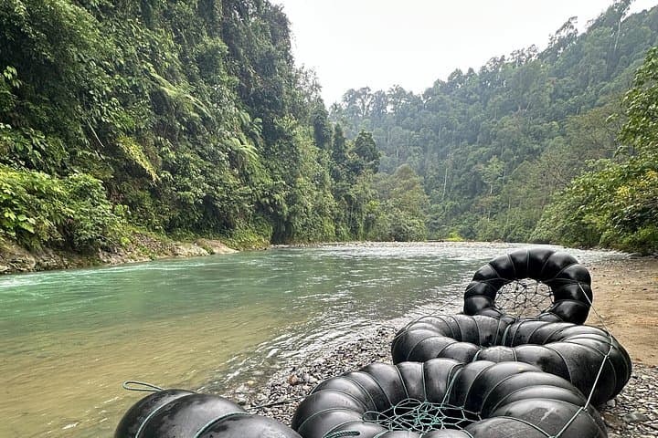 Ethical Jungle Trekking in Bukit Lawang: 3-Day Orangutan & Rainforest Camping photo 3