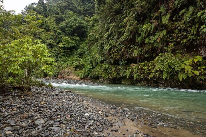 Ethical Jungle Trekking in Bukit Lawang: 3-Day Orangutan & Rainforest Camping photo 4